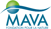 MAVA Foundation